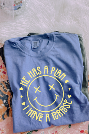 He Has a Plan I Have a Purpose Tee: Color Options Available
