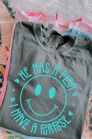 He Has a Plan I Have a Purpose Tee: Color Options Available