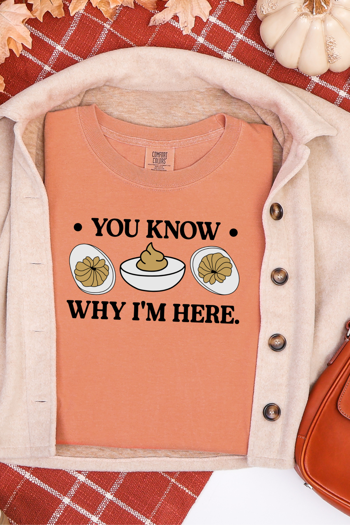You Know Why I'm Here Tee: Terra Cotta